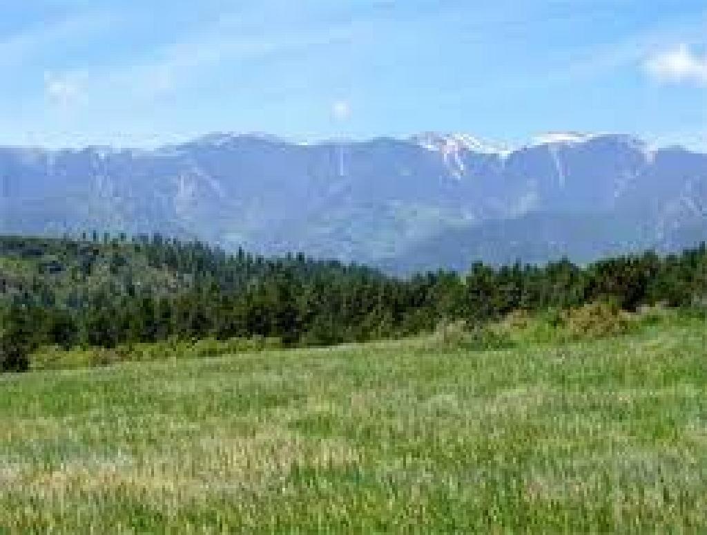 ASSUME PAYMENTS! FORECLOSURE! STUNNING CO LAND! GOLF AND LAKE COMMUNITY! EXCELLENT BUY!