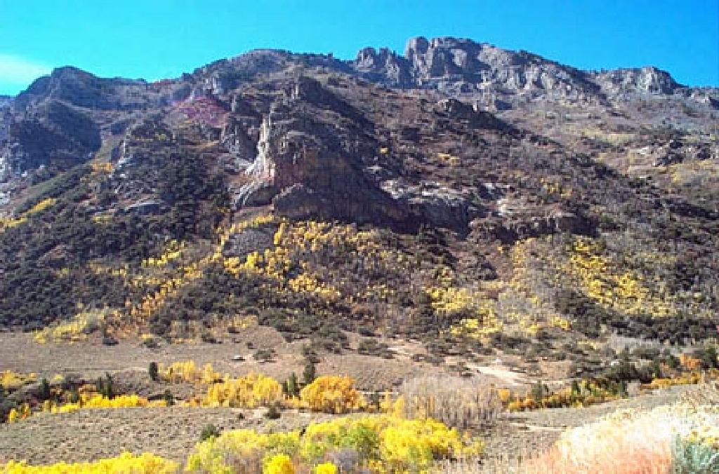 FORECLOSURE! BID AND ASSUME! BEAUTIFUL NEVADA LAND, 640 ACRES! LARGE ACREAGE!