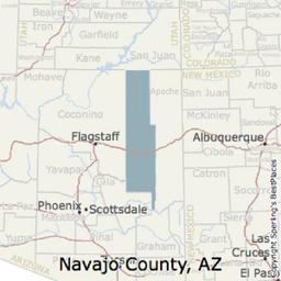 STUNNING 2.5 ACRE IN NAVAJO COUNTY, ARIZONA! MINI RANCHETTE! FORECLOSURE JUST TAKE OVER PAYMENTS!