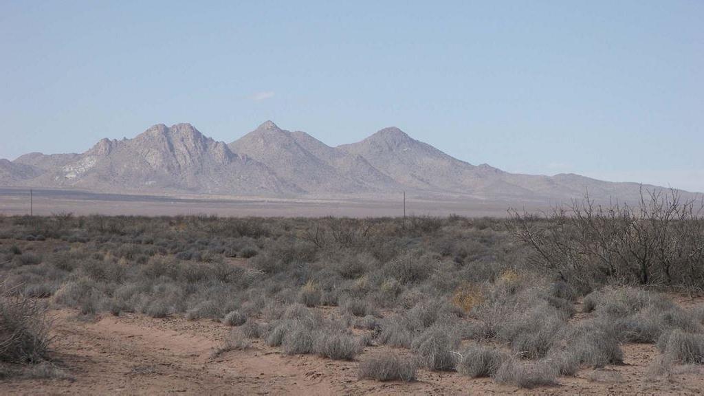 TAKE OVER PAYMENTS! FORECLOSURE! STUNNING 10 ACRE IN LUNA COUNTY, NEW MEXICO INVESTMENT PROPERTY!