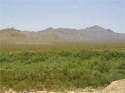 BEAUTIFUL BID AND ASSUME! TAKE OVER PAYMENTS ON THIS 5.01 ACRE PROPERTY IN HUDSPETH COUNTY, TEXAS!