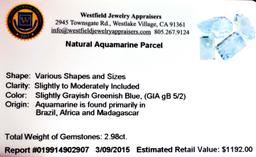 APP: 1.2k 2.98CT Various Shapes And Sizes Natural Aquamarine Parcel