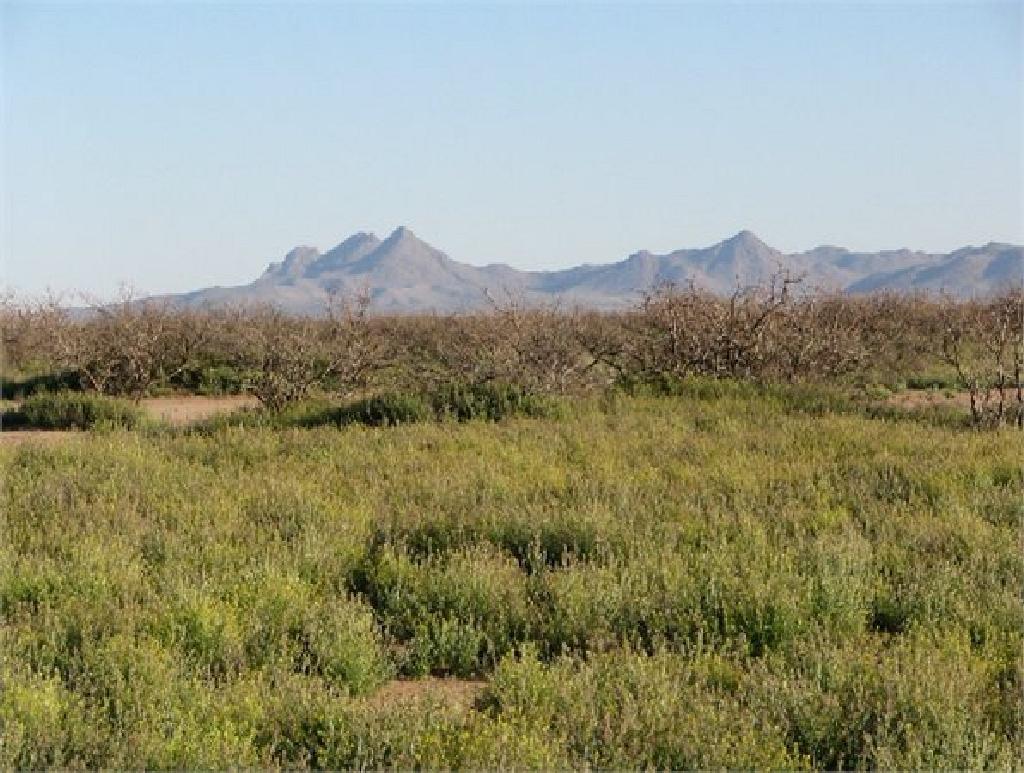 INCREDIBLE 10 ACRE IN LUNA COUNTY, NEW MEXICO INVESTMENT PROPERTY! BID AND ASSUME FORECLOSURE!