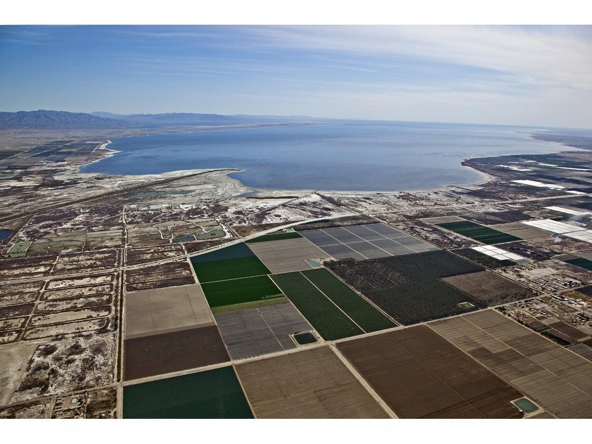 Gorgeous 20 Acres Famous Salton Sea Southern California! Just Bid & Take Over Low Monthly Payments!