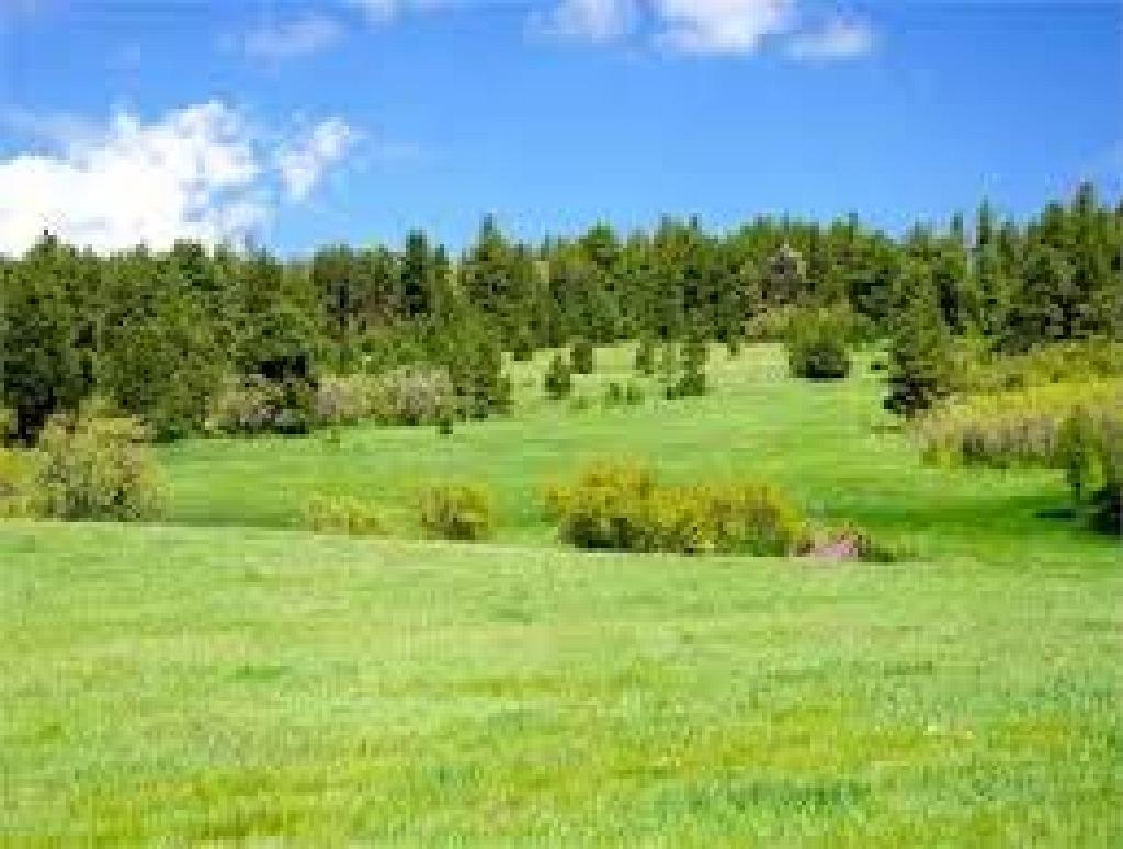 IMPRESSIVE COLORADO LAND! GOLF AND LAKE COMMUNITY! EXCELLENT INVESTMENT!BID AND ASSUME FORECLOSURE!