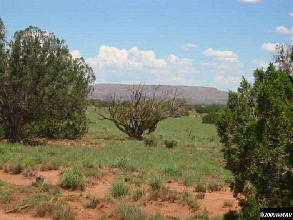 GORGEOUS 10 ACRE IN APACHE COUNTY, ARIZONA! EXCELLENT BUY! TAKE OVER PAYMENTS! FORECLOSURE!