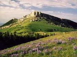 40 Acre Beautiful Ranchette Sweetwater County Wyoming