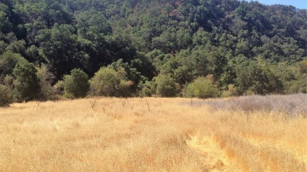 BEAUTIFUL CALIFORNIA LAND! LOCATED IN LOS ANGELES CAOUNTY! BID AND ASSUME FORECLOSURE!