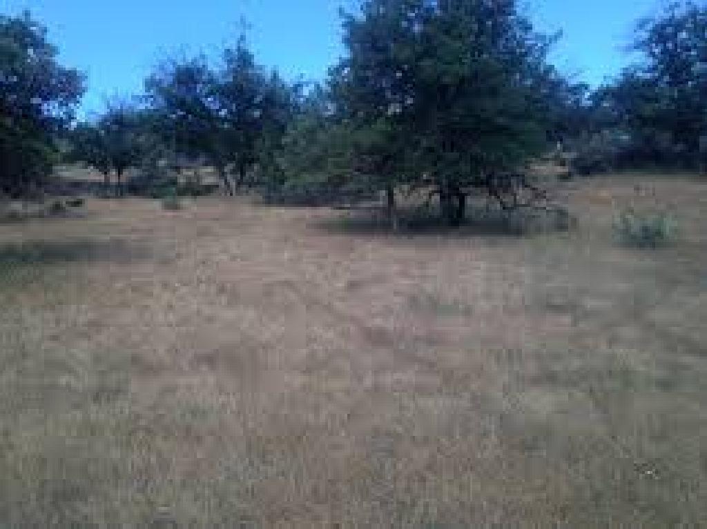 Klamath River Country Estates Unlimited Potential! Cash Sale! File #0514021