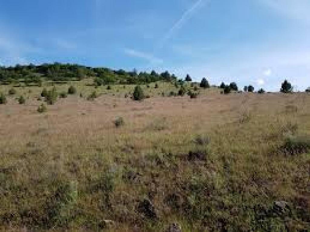 Klamath River Country Estates Unlimited Potential! Cash Sale! File #0514021