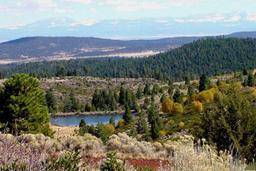 INCREDIBLE 1.69 ACRE CALIFORNIA LAND IN KLAMATH RIVER SUBDIVISION! HOME SITE! TAKE OVER PAYMENTS!