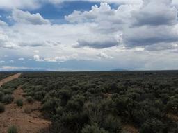 Gorgeous 5 Acre Colorado Ranchette!! Close to Rio Grande River! Cash Sale!! Cash File Number 1537509