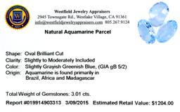 APP: 1.2k 3.01CT Oval Cut Natural Aquamarine Parcel