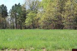 Gorgeous Lot in Cleburne County, Arkansas!!! Cash Sale! Cash File Number 167543 (Vault_PNR)