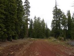 Gorgeous Northern California Property In Beautiful California Pines Subdivision!!! Just Bid & Take O