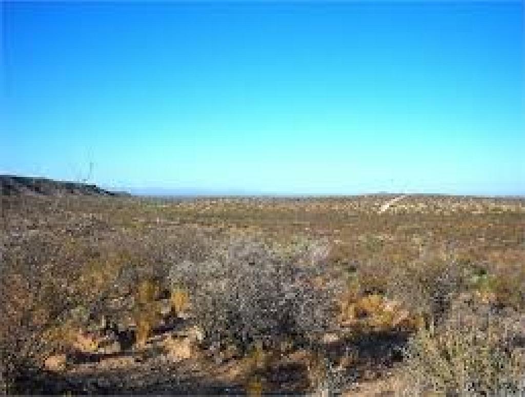 10 ACRES!! INCREDIBLE INVESTMENT! CASH SALE! FILE #1536480 STUNNING TX LAND (Vault_PNR)