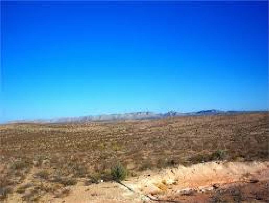 5 ACRES!! INCREDIBLE INVESTMENT! CASH SALE! FILE #1517480 STUNNING TX LAND (Vault_PNR)