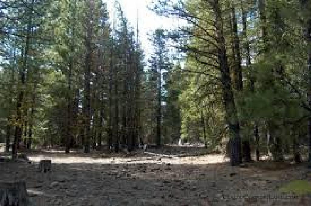 Gorgeous Northern California Property In Beautiful California Pines Subdivision!!! Just Bid & Take O