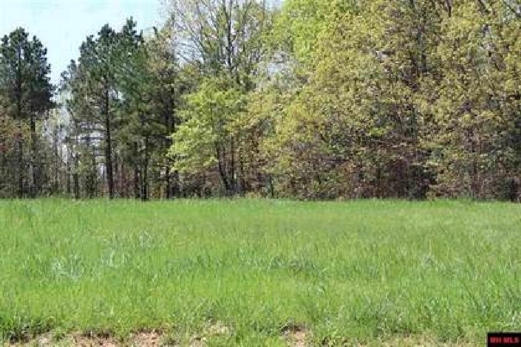 Gorgeous Lot in Van Buren County, Arkansas!!! Cash Sale! Cash File Number 167543 (Vault_PNR)