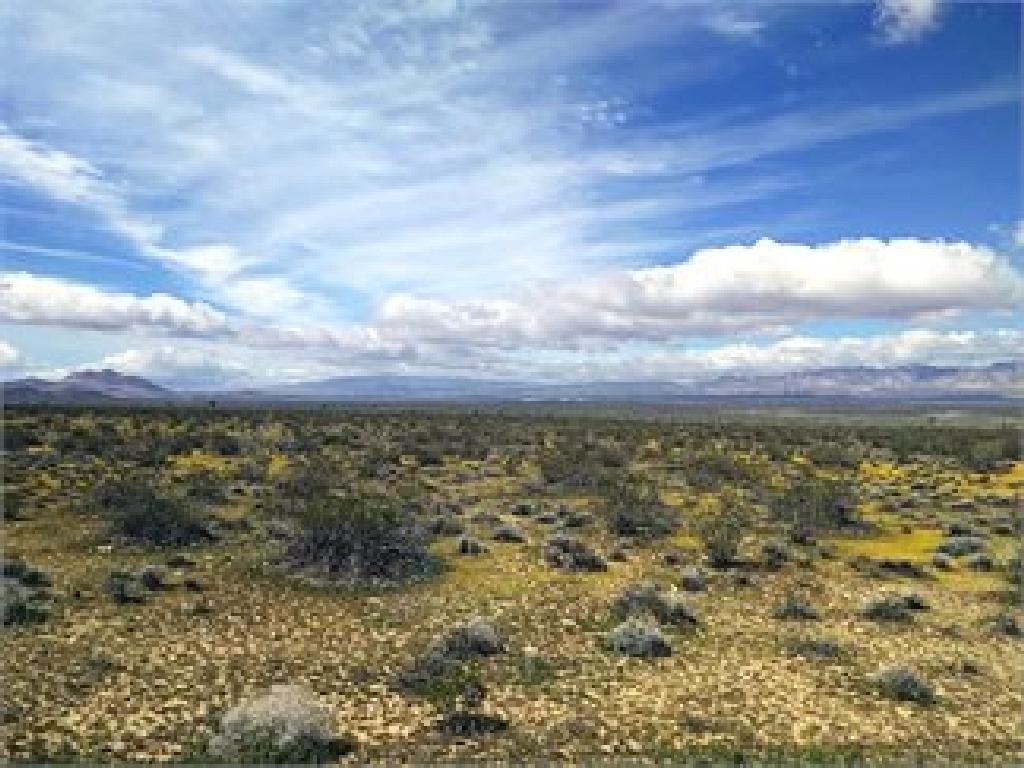 2.54 ACRE SOUTHERN CALIFORNIA LOT! GREAT INVESTMENT!!  JUST TAKE OVER PAYMENTS  (Vault_PNR)