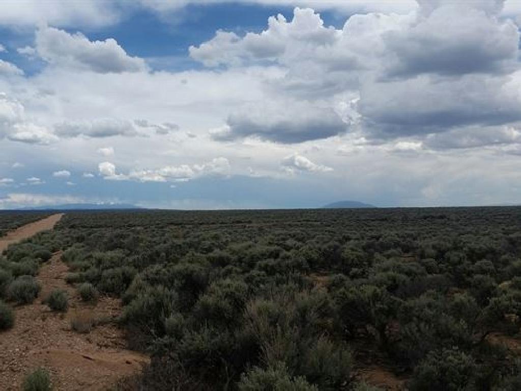 Gorgeous 5 Acre Colorado Ranchette  in Costilla County!!!  Cash Sale! File #1729052 (Vault_PNR)