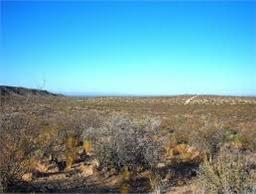 5 ACRES!! INCREDIBLE INVESTMENT! CASH SALE! FILE #1517480 STUNNING TX LAND (Vault_PNR)