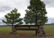 Northern CA Approx 1 Acre Modoc County California Pines Recreational Homesite! Low Monthly Payment!