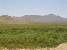10 Acre Mini Ranchette in Hudspeth Texas! Great Recreation & Investment!! Bid for Low Monthly Paymen