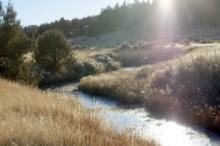 GORGEOUS CALIFORNIA LAND! LAKE UNIT 1 ACRE IN CALIFORNIA PINES, TAKE OVER PAYMENTS!
