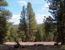 Northern CA Approx 1 Acre Modoc County California Pines Recreational Homesite! Low Monthly Payment!