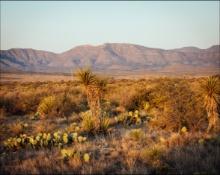 CASH SALE! Texas Hudspeth County Sun City Lot! Great Recreation and Investment! File 1218973