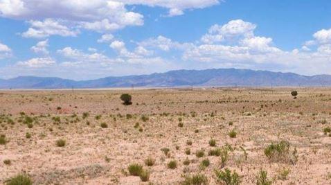 New Mexico Platted Subdivision Lot in Valencia County near Albuquerque with Low Monthly Payments!