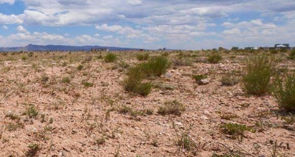 New Mexico Platted Subdivision Lot in Valencia County near Albuquerque with Low Monthly Payments!