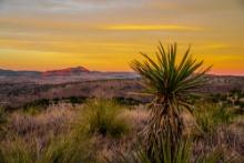 Texas Hudspeth County Lot in Sun City near El Paso and close to Highway CASH SALE GA1218964