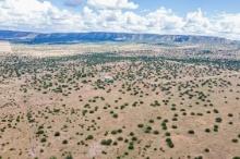 CASH SALE! New Mexico Platted Subdivision Lot in Valencia County near Albuquerque! File 2412541