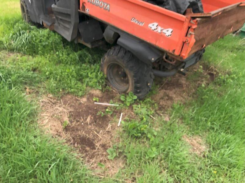 Kubota RTV900--NOT RUNNING