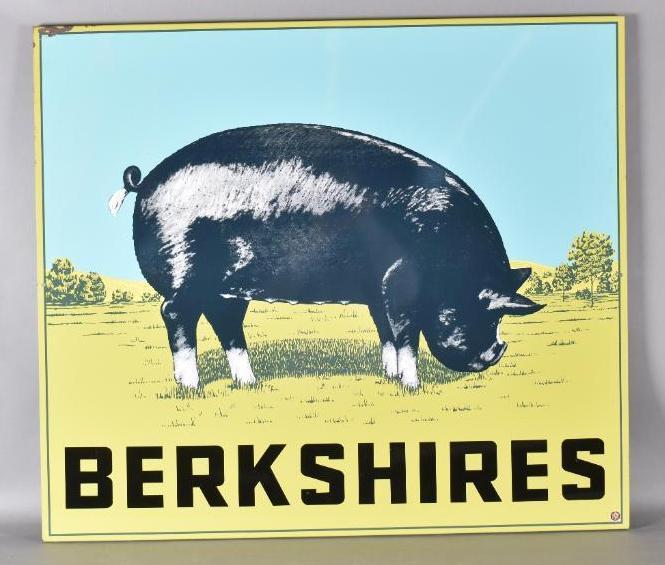 Berkshire (hog) w/Images Metal Sign