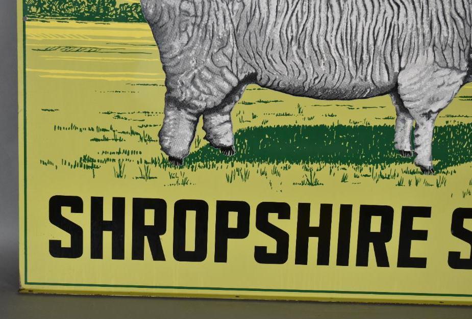 Shropshire Sheep w/Images Metal Sign