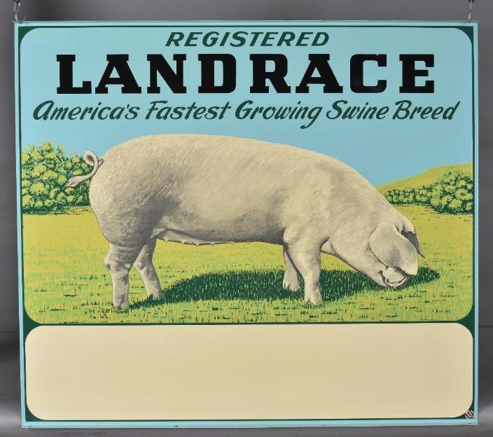 Landrace "America's Fastest Growing Swine Breed" Metal Sign