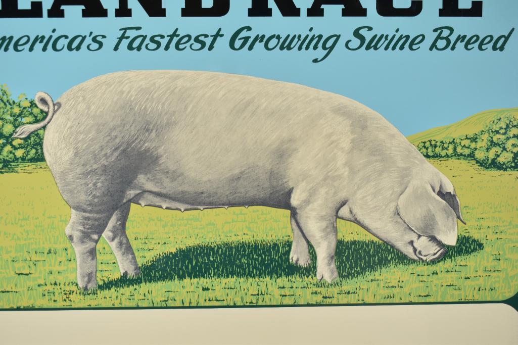 Landrace "America's Fastest Growing Swine Breed" Metal Sign