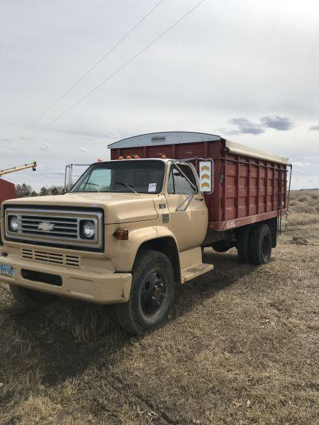 1977 Chevy single axle C-60 grain truck, 16? all steel box & hoist w/ roll tarp, 350 engine, 31,000