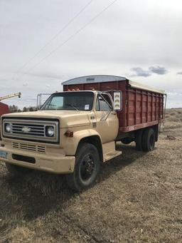 1977 Chevy single axle C-60 grain truck, 16? all steel box & hoist w/ roll tarp, 350 engine, 31,000