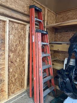 Two Werner fiberglass ladders