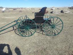 Doctor's Horse Drawn Buggy