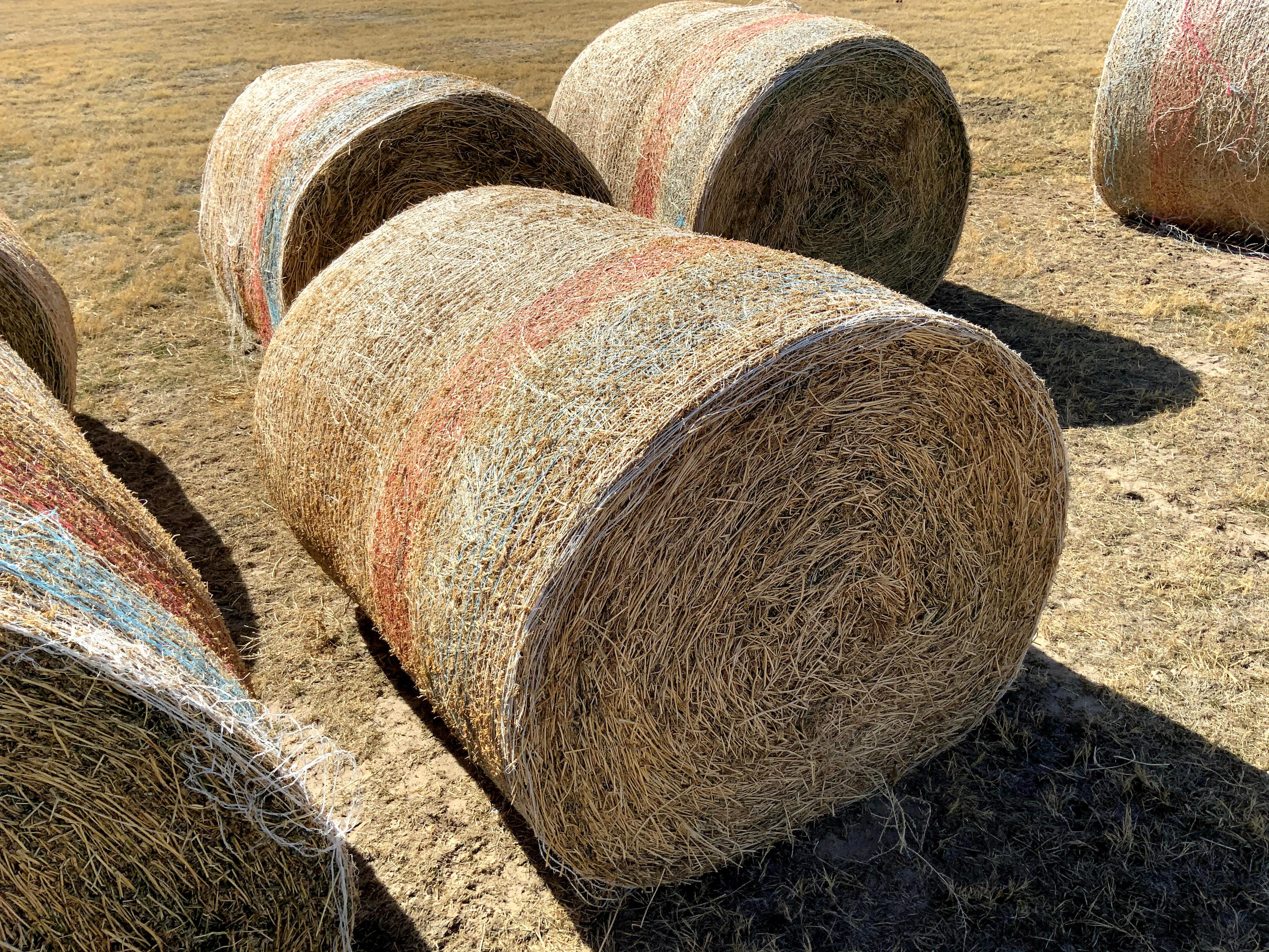 2 Medium Round Bales of 3rd Cutting Alfalfa Hay