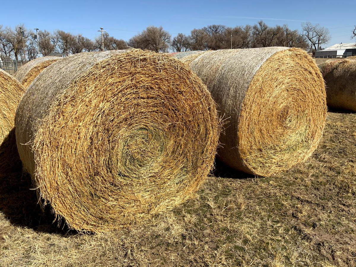 2 Big Round Bales of 1st Cutting Alfalfa Hay