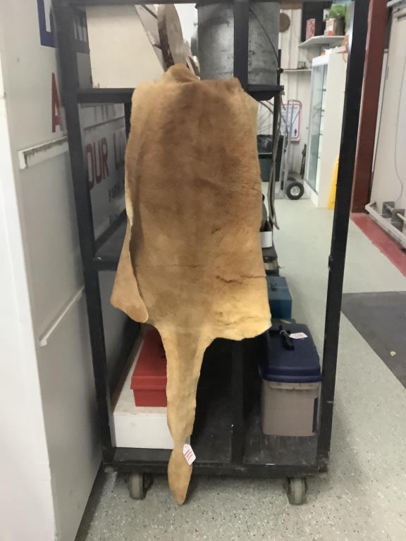 Genuine Australian tanner kangaroo skin