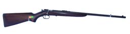 Winchester  Model:60  .22 rifle