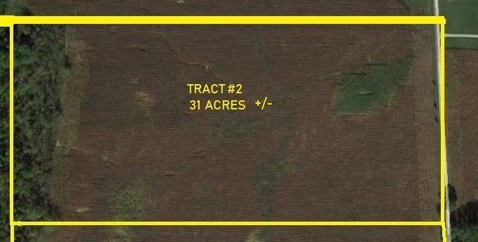 Tract 2 - 31 Acres (+/-)