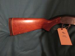 Sears Ted Williams 12 ga